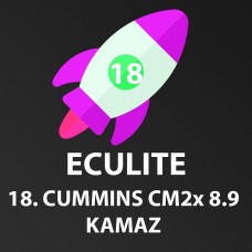 Модуль 18 ECULite KMZ Cummins CM2xxx 8.9
