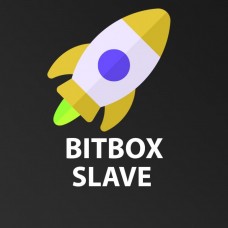 Slave лицензия BitBox